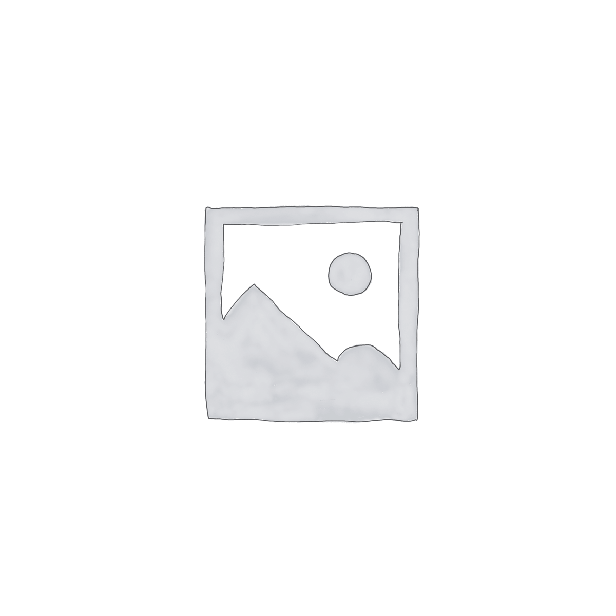 ZwarteB0x Draagbare Opslag 250GB
